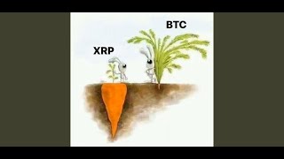 리플xrp 아직도 매력적인가격 너무 싸다 싸