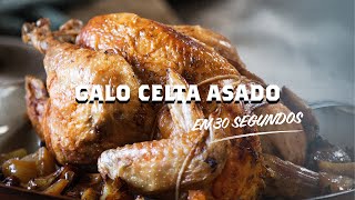 GALO CELTA ECOLÓGICO ASADO - Petra Mora