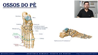 Ossos do pé - Esqueleto apendicular - Sistema esquelético - Anatomia direto ao ponto!