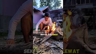 Suasana pagi di pondok kebun yang bikin betah sambil panen sayur di ladang