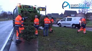 kerstboom opruimteam Assen 2019