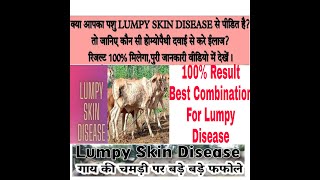 Lumpy Disease Homoeopathic Medicine//100% Most Effective //( गाय भैंस के महामारी रोग का Treatment.