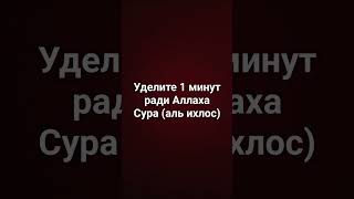 Сура Аль Ихлос