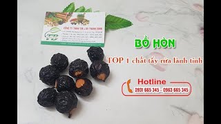 Bồ Hòn | Công dụng của bồ hòn