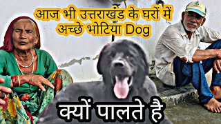 क्यों पाले जाते है आज भी भोटिया dog  #bhotia#doglover#dog#trending#explore Uttarakhand Wale