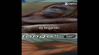 eu brigando: