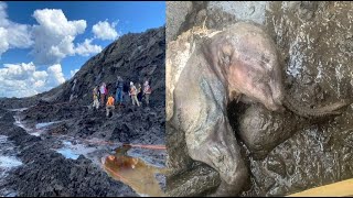 Frozen Mammoths In Black Muck - Solar Outbursts - Volcanic Eruptions & Solar Activity - Zharkova