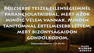 NAPI HANGZÓ BIBLIA - 149. RÉSZ - 05.29. - 2Sám 14,1-15,22; Jn 18,1-24; Zsolt 119,97-112; Péld 16,8-9