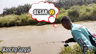 Seru banget tarikannya Mancing Sungai #mancing #mancingsungai