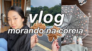 vida na coreia | jeju vlog🍊: feirinha famosa, lembrancinhas fofas, muita comida, praias kr