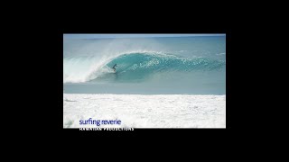 surfing reverie