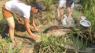 Beautiful Girl Catching Big Fish By her hand Near Village