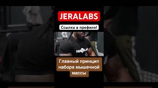 Главный принцип набора мышечной массы