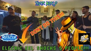 4 FOOT ELECTRIC EEL SHOCKS 5 PEOPLE!!! // ELECTRICAL EXPERIMENT // WHAT COULD GO WRONG??? (SHOCKING)