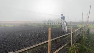 Amy Tate, BRC Intermediate Dressage Championships 2020, Test D10