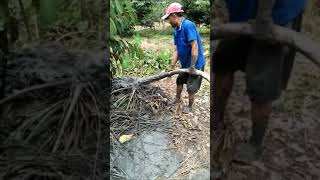 Bơm Bùn Vườn Cây Bùn Siêu Đặc.micro Mud Pump To The Garden.