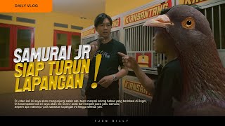 REVIEW ANAK MERPATI JUARA KONSISTEN