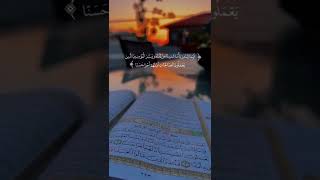 حالات واتس اب قران كريم تلاوه خاشعه.....❤️