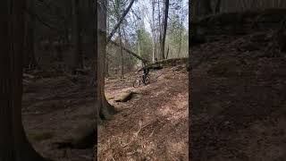 My Bro on the old 26er trek hardtail giving it on a 7-8 foot drop. bail to avoid tree ! #mtb #shorts