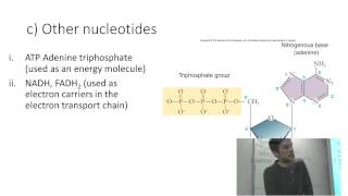 Macromolecules