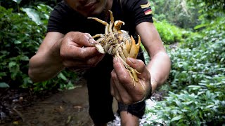 Catch and cook | Fat stream crabs in winter, Wilderness Alone, episode 60