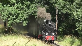 Der Rasende Roland auf Rügen oder Rügersche BäderBahn RüBB