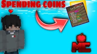 SPENDING ALL COINS IN APPLEMC BEST MINECRAFT SMP