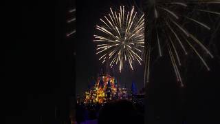 Tangled lanterns - Happily Ever After Magic Kingdom fireworks #disneyworld #disneyfireworks #shorts