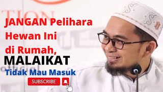 HATI-HATI!! Jangan pelihara hewan ini, Malaikat tidak mau masuk  #motivation #uah #islam #muslim