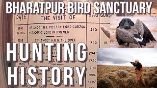 Hunting in Keoladeo National Park | Biodiversity of Bharatpur Bird Sanctuary | Dark History | 4K