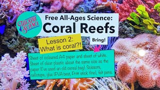 All-ages science lesson: Coral Reefs 2: What is Coral?!