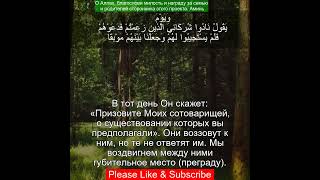 Коран Сура Аль-Кахф |18:52 | Чтение Корана с русским переводом | Quran Translation #quranrecitation