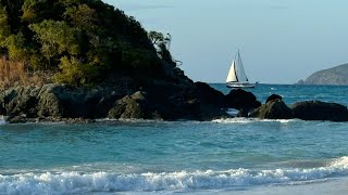 Sights and sounds of Caribbean beach