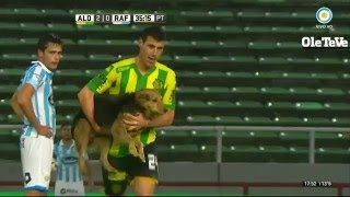 Un Perro Entra A La Cancha A Cabecear Un Centro | Aldosivi v Atletico Rafaela