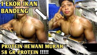 Mukbang Ikan Tinggi Protein |Makanan Murah Pembentuk Otot !!