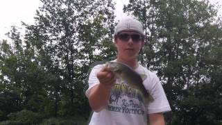 Fishing with Crankbaits for Largemouth Bass