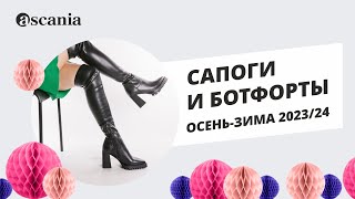 Сапоги и ботфорты. Осень/зима 2023