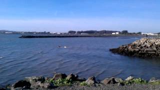 Point Isabel Shoreline Walk