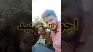 #youtube عيد مبارك سعيد اجواء العيد #اكسبلور #vlog #youtuber