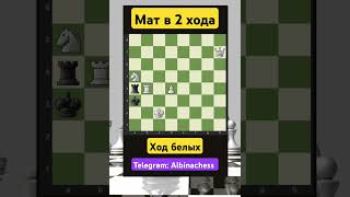 Telegram: Albinachess #chess #топ #топ