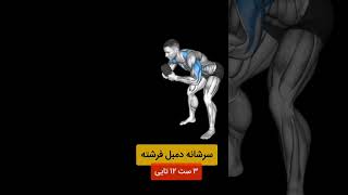 برنامه تمرینی حجمی سرشانه💪#بدنسازی_آقایان#برنامه_تمرینی#تمرین_در_خانه#سرشانه#shoulder#تمرینات_ورزشی