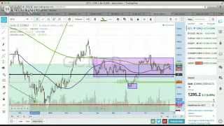 Forex Live Learning Session, August 20 2014: "How Long Will You Wait With Your Trades?"