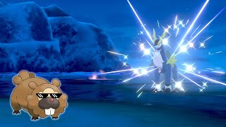 Pokémon’s Most Unsatisfying Shiny Video