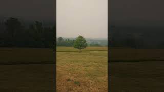 Smoke from the Wildfires in Canada!!!!