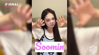 [ENG SUB] tripleS Instagram SIGNAL LIVE 240821 (Soomin) 트리플에스 Haus Talk