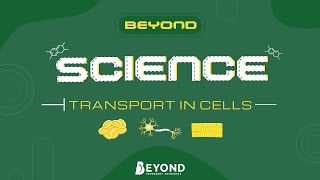 Beyond Science: Cell Biology - Transport In Cells