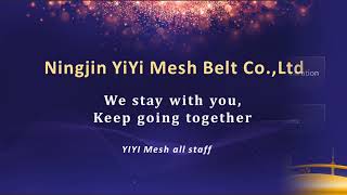 YIYI Mesh Belt Values