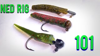 Ned Rig Fishing 101 - How to Rig and Fish the Ned Rig