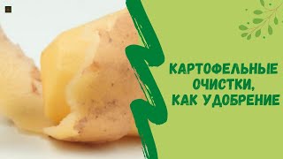 Картофельные очистки, как удобрение