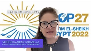 Especial COP 27 - Lucía Salazar, experta en gobernanza climática